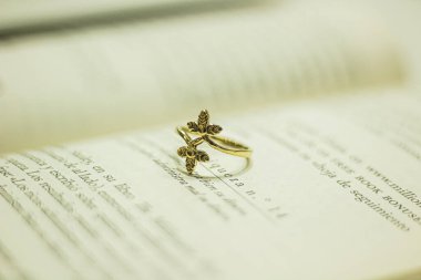 Odaklanmamış bir kitabın üzerindeki çiçek halkası.