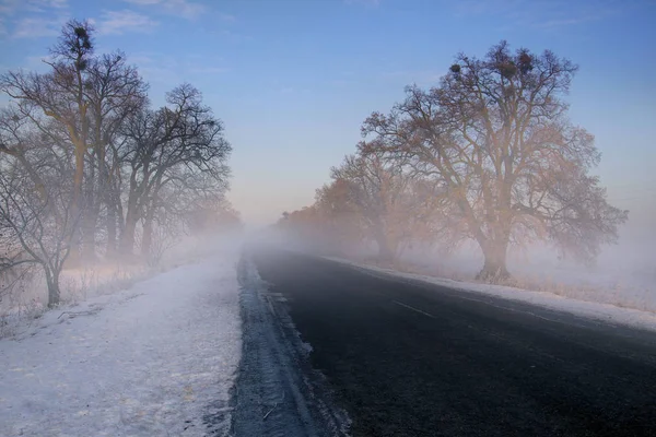 Winter snowy road and sunrise — Stock Photo, Image