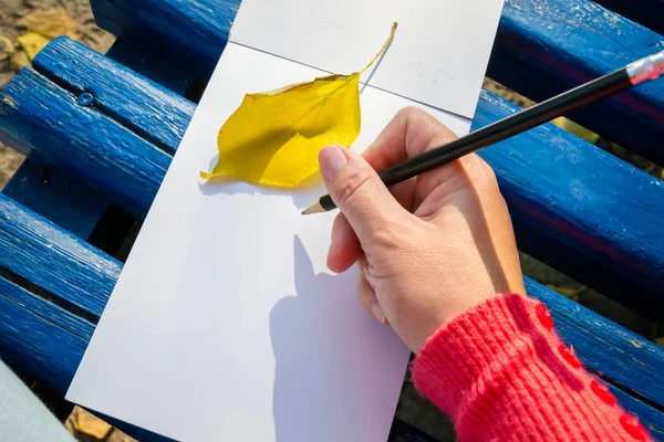 Planlamak ve özetlemek için boş bir not defteri. Elin kalem tutsun. Ya çizecek ya da not defteri tutacak..