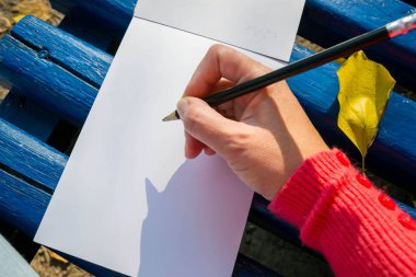 Planlamak ve özetlemek için boş bir not defteri. Elin kalem tutsun. Ya çizecek ya da not defteri tutacak..