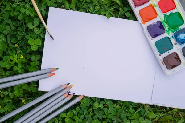 Uma Paleta Com Tintas Aquarela Multicoloridas Deitadas Grama Lado Pedaço — Fotografia de Stock