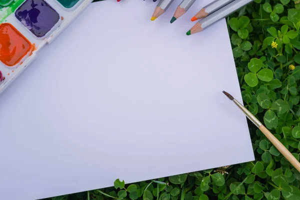 Uma Paleta Com Tintas Aquarela Multicoloridas Deitadas Grama Lado Pedaço — Fotografia de Stock