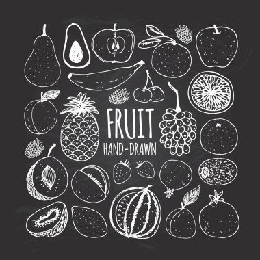 Meyve doodle tarzı tahtada kümesi