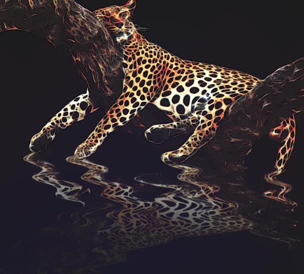Jaguar dormant sur un arbre avec son réflexe sur l'eau — Video