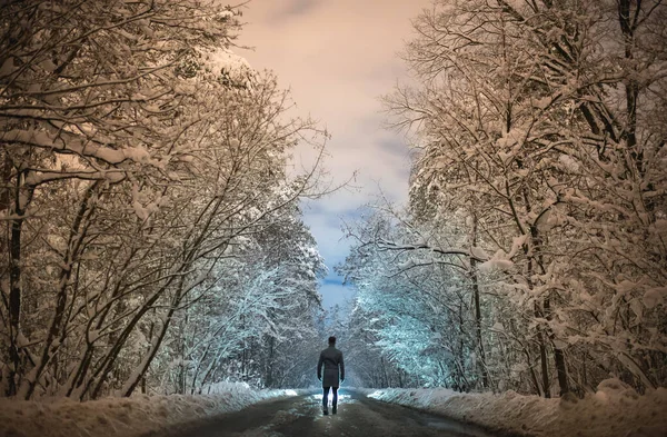 Mies Kävelee Metsätiellä Ilta Aika — kuvapankkivalokuva