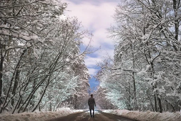 Mies Seisoo Lumisella Tiellä Metsässä — kuvapankkivalokuva