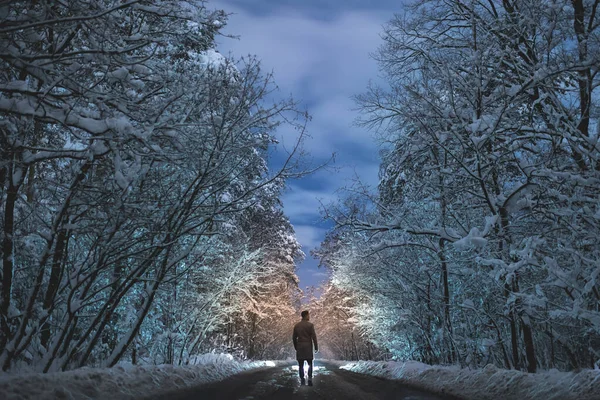 Mies Seisoo Lumisella Tiellä Metsässä Ilta Aika — kuvapankkivalokuva