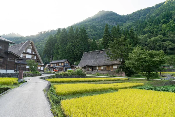 白川乡合掌神社建筑史 （合掌式） 房子 — 图库照片