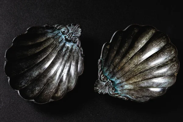 Deniz kabuğu şeklinde dekoratif deniz kabukları.