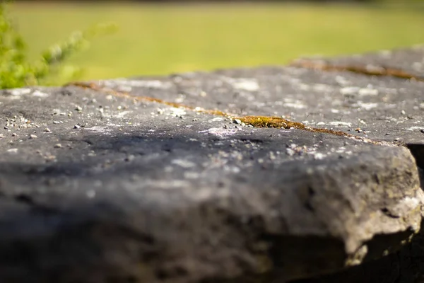 Moers 'daki bir şehir parkında doğal taşlar.