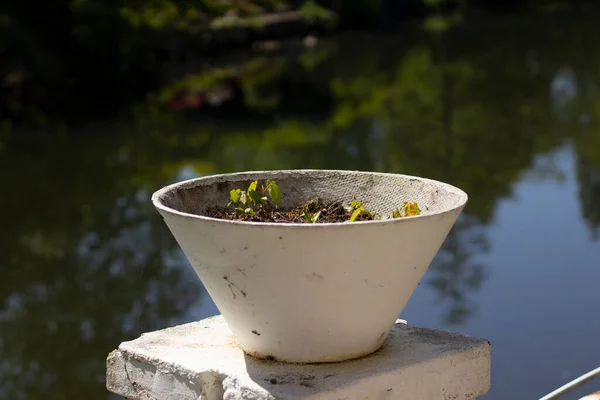Almanya 'daki Moers şehir parkında çiçek vazosu