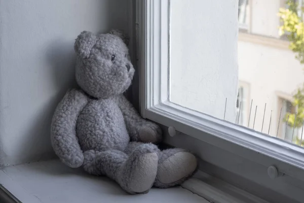 Üzgün ayıcık pencerede oturuyor