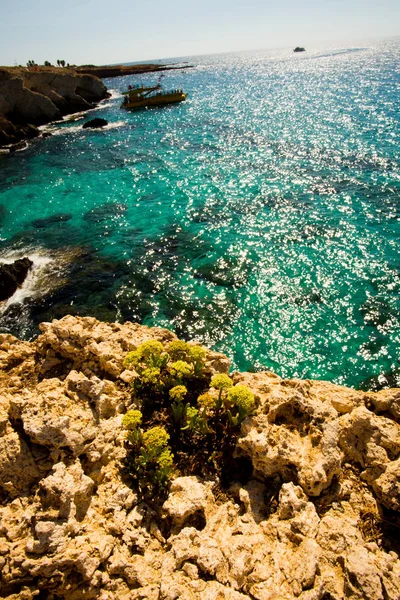 Stone cliff in a beautiful blue sea Cyprus — Stock Photo, Image