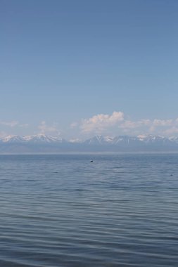 Büyük Deniz Baykal, Rusya Federasyonu