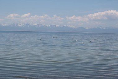 Büyük Deniz Baykal, Rusya Federasyonu