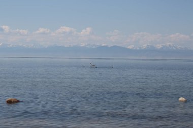 Büyük Deniz Baykal, Rusya Federasyonu