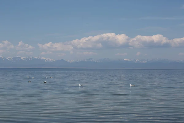 伟大的贝加尔湖，俄罗斯 — 图库照片