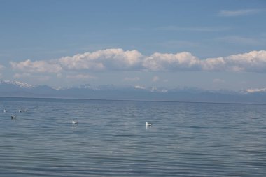 Büyük Deniz Baykal, Rusya Federasyonu