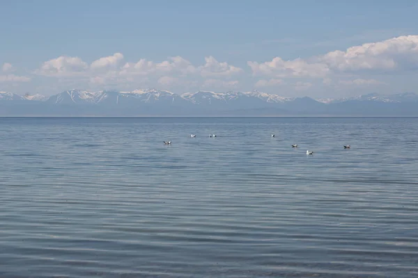 Danau besar Baikal, Rusia — Stok Foto