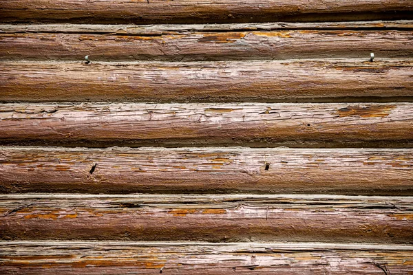 Textura Fondo Árbol Troncos Horizontal Marrón — Foto de Stock