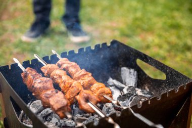 Doğada bir barbeküde kömürde pişirilmiş barbekü.