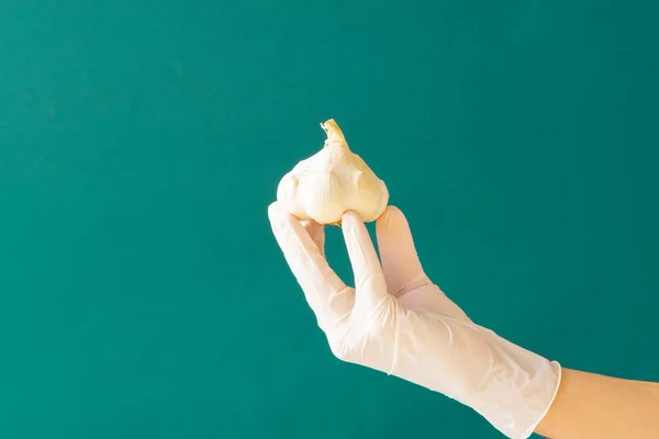 Sarımsak tutan beyaz lastik eldivenli el. Coronavirus. Boşluğu kopyala.