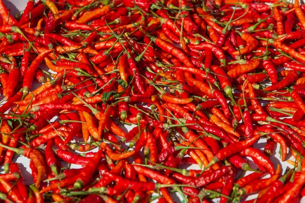 Rote Chilischoten Trocknen Unter Der Sonne Auf Einem Lokalen Markt — Stockfoto