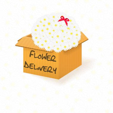 Çiçek teslimatı bir buket papatya ve beyaz arka planda kırmızı papatya ile birlikte açık karton kutu. Vektör illüstrasyonu