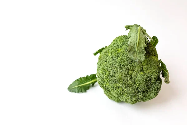 Fresh Edible Green Broccoli Plant Isolated White Background Health Food — Stock Photo, Image