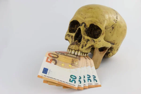 Totenkopf mit Euro-Scheinen — Stockfoto