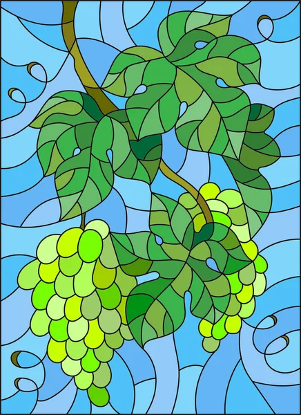 La ilustración en pintura estilo vitral con un ramo de uvas verdes y hojas sobre fondo azul — Archivo Imágenes Vectoriales