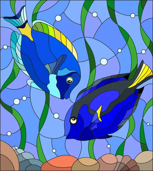 Ilustración en estilo vitral con un par de cirujanos de peces sobre el fondo de agua y algas — Vector de stock