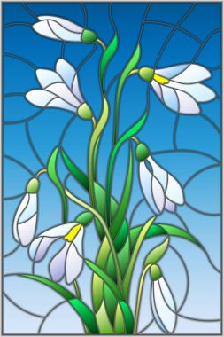 Buket stiliyle vitray çizimde mavi bir arka plan üzerinde beyaz kardelen 