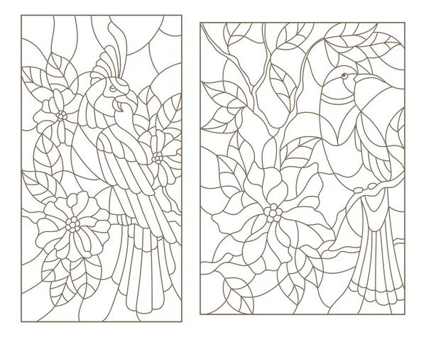 Set illustrazioni contorno di vetrate con uccelli sui rami delle piante da fiore — Vettoriale Stock