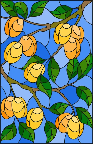 Illustration in the style of a stained glass window with the branches of apricot  tree , the  branches, leaves and fruits against the sky — Stock Vector