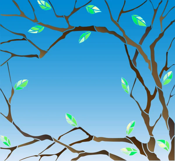 Abstract background image with the branches and leaves of the tree on a blue sky background — Stock Vector