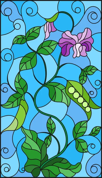 Ilustração em estilo vitral Ervilhas verdes Bush, folhas, brotos, vagens e flores em um fundo azul — Vetor de Stock