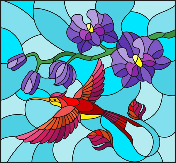 Иллюстрация в витражном стиле с веткой фиолетовой орхидеи и яркой птицей Колибри на синем фоне — стоковый вектор