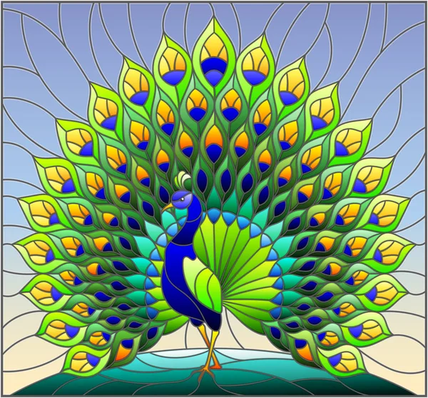 Ilustración en estilo vidriera con pavo real colorido en el cielo azul, fondo — Archivo Imágenes Vectoriales