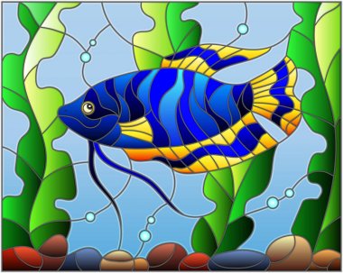 Su ve yosun vitray stil mavi balık arka planı çizimi