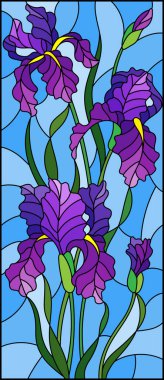 Illustration in stained glass style with purple bouquet of irises, flowers, buds and leaves on blue background clipart
