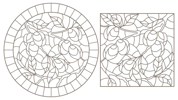 Décor contour des vitraux, branche d'un prunier aux fruits mûrs, contour foncé sur fond blanc — Image vectorielle