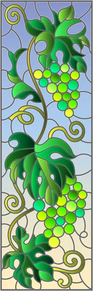 L'illustration en peinture de style vitrail avec un bouquet de raisins verts et feuilles sur fond bleu, image verticale — Image vectorielle