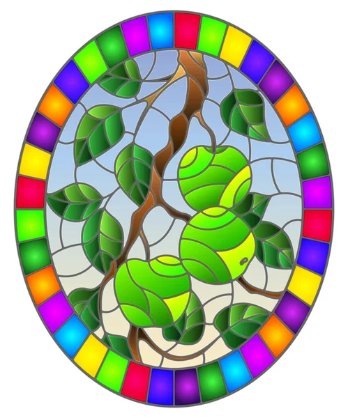 Illusztráció a stílus egy festett üveg ablak az ágak az almafák, a gyümölcs ágak és levelek ellen az ég, ovális kép fényes keretben — Stock Vector