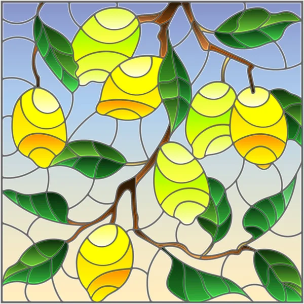 Ilustración en el estilo de una vidriera con las ramas de limonero, las ramas frutales y las hojas contra el cielo — Archivo Imágenes Vectoriales