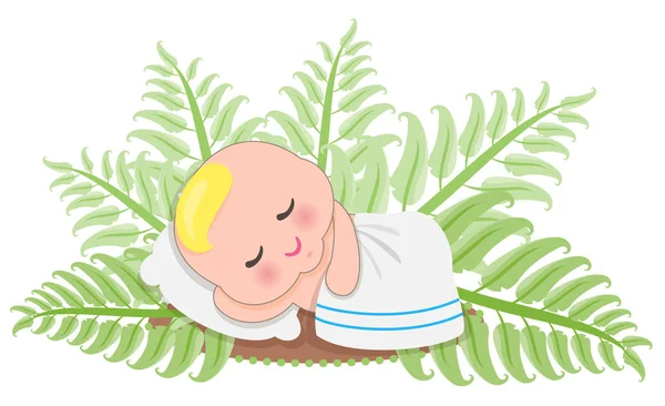 Sleep Baby In Fern — Stock Vector