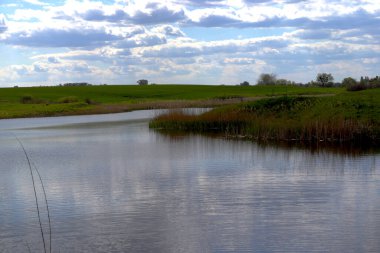 Mavi gökyüzü yeşil bir tarlanın üzerinde bulutlarla.