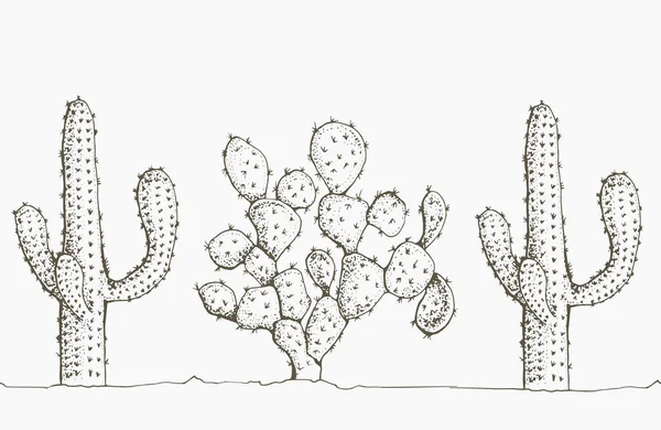 Vetores de Cactos De Desenho À Mão No Vetor Do Deserto e mais imagens de  Areia - Areia, Arte, Botânica - Assunto - iStock