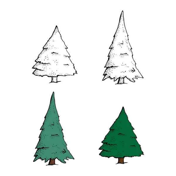 Ensemble vectoriel de pins dessinés à la main. Caricature d'épinette isolée sur un fond blanc. Éléments de conception de Noël, style doodle . — Image vectorielle