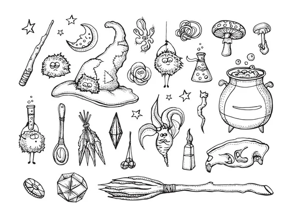 Set di strumenti di mago e alchimia: cranio, cristallo, radici, pozione, piuma, funghi, cappello. Collezione Halloween di strumenti di stregoneria. Illustrazione vettoriale disegnata a mano. Isolato su bianco . Vettoriale Stock